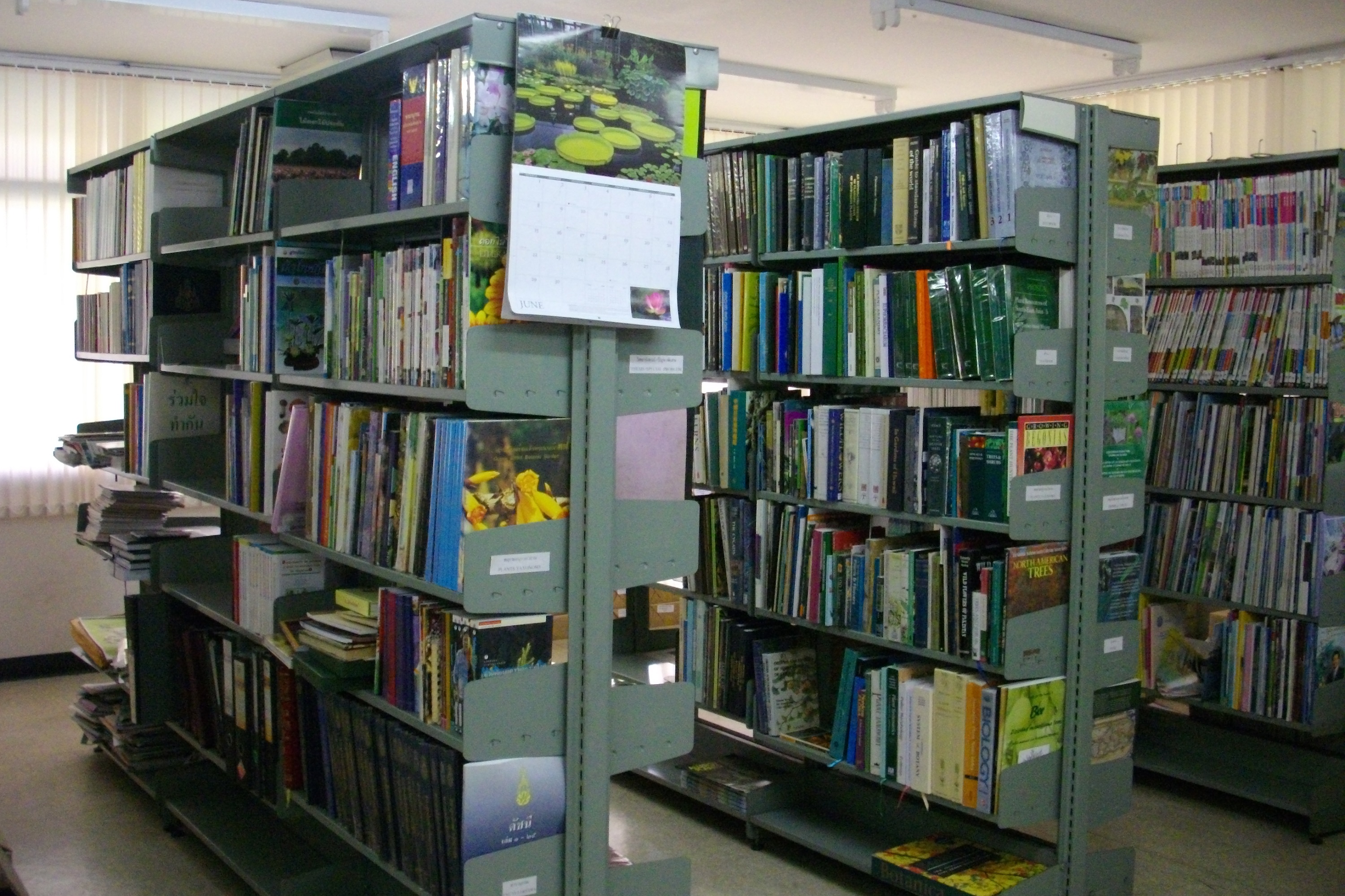 Library 1