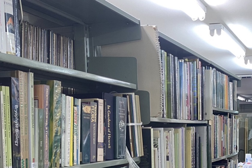 Library 2