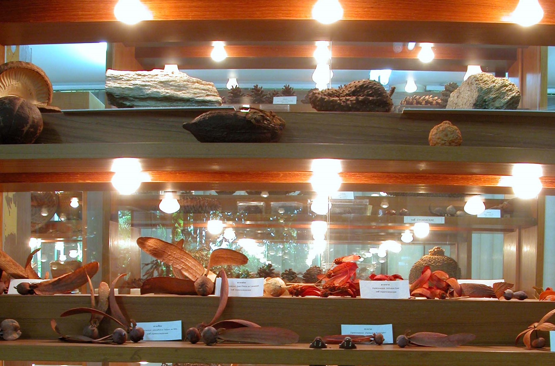 Museum 3