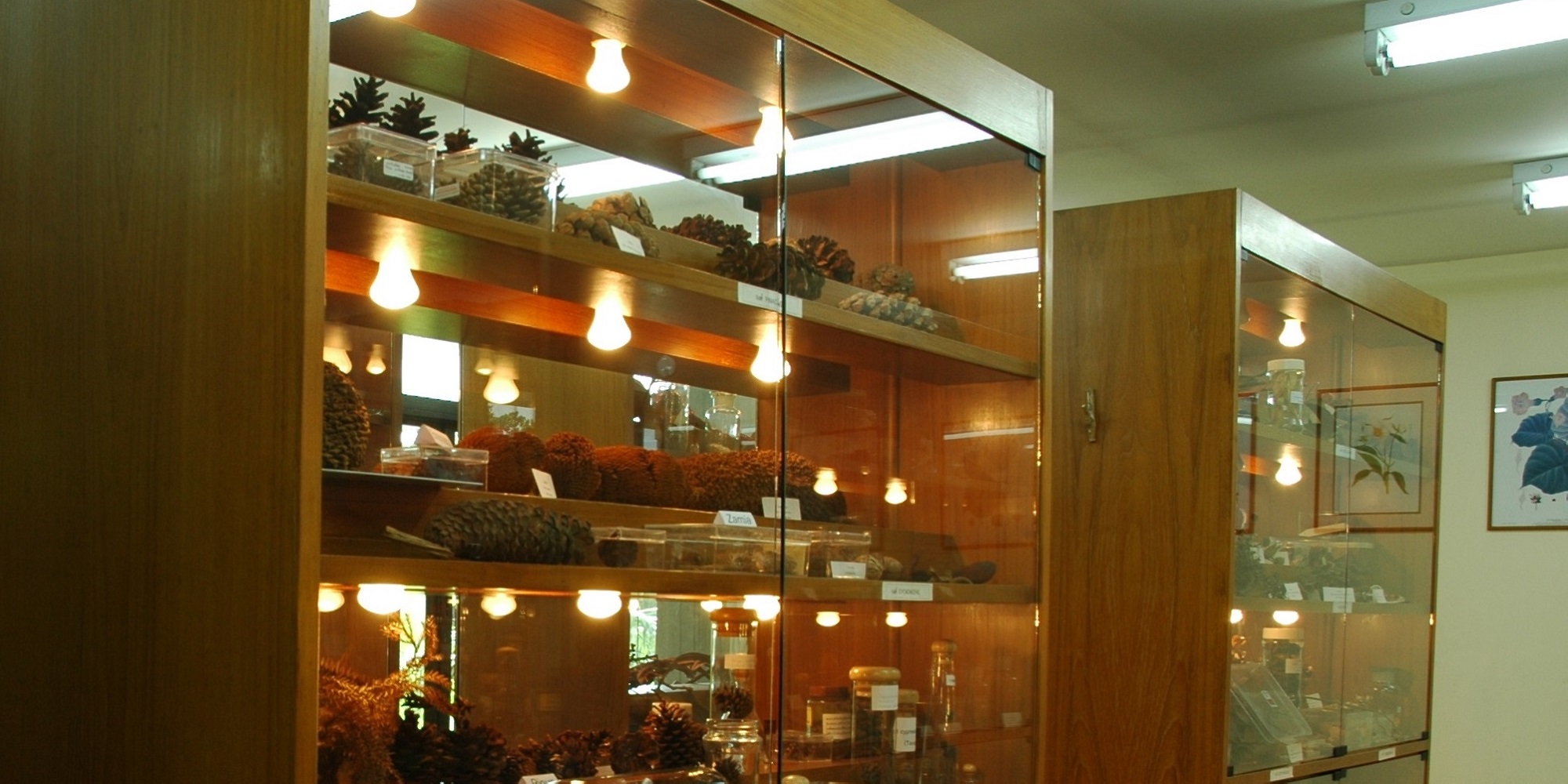 Museum